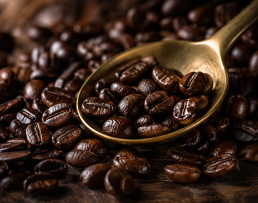 Roasted Beans